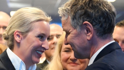 Von den einstigen Flügelkämpfen in der AfD ist heute nicht mehr viel zu spüren. Etliche frühere Führungspersönlichkeiten haben die Partei seither verlassen. (Archivfoto) (Foto: Sören Stache/dpa-Pool/dpa)