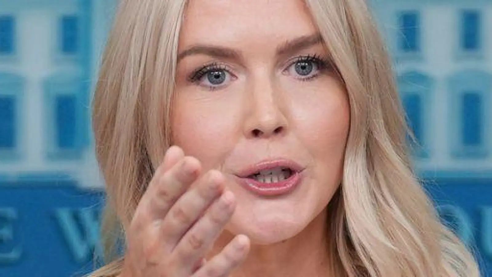 Trumps Sprecherin Karoline Leavitt stellt klar, dass die Visa-Gebühr nicht jährlich erhoben wird.  (Foto: Evan Vucci/AP/dpa)