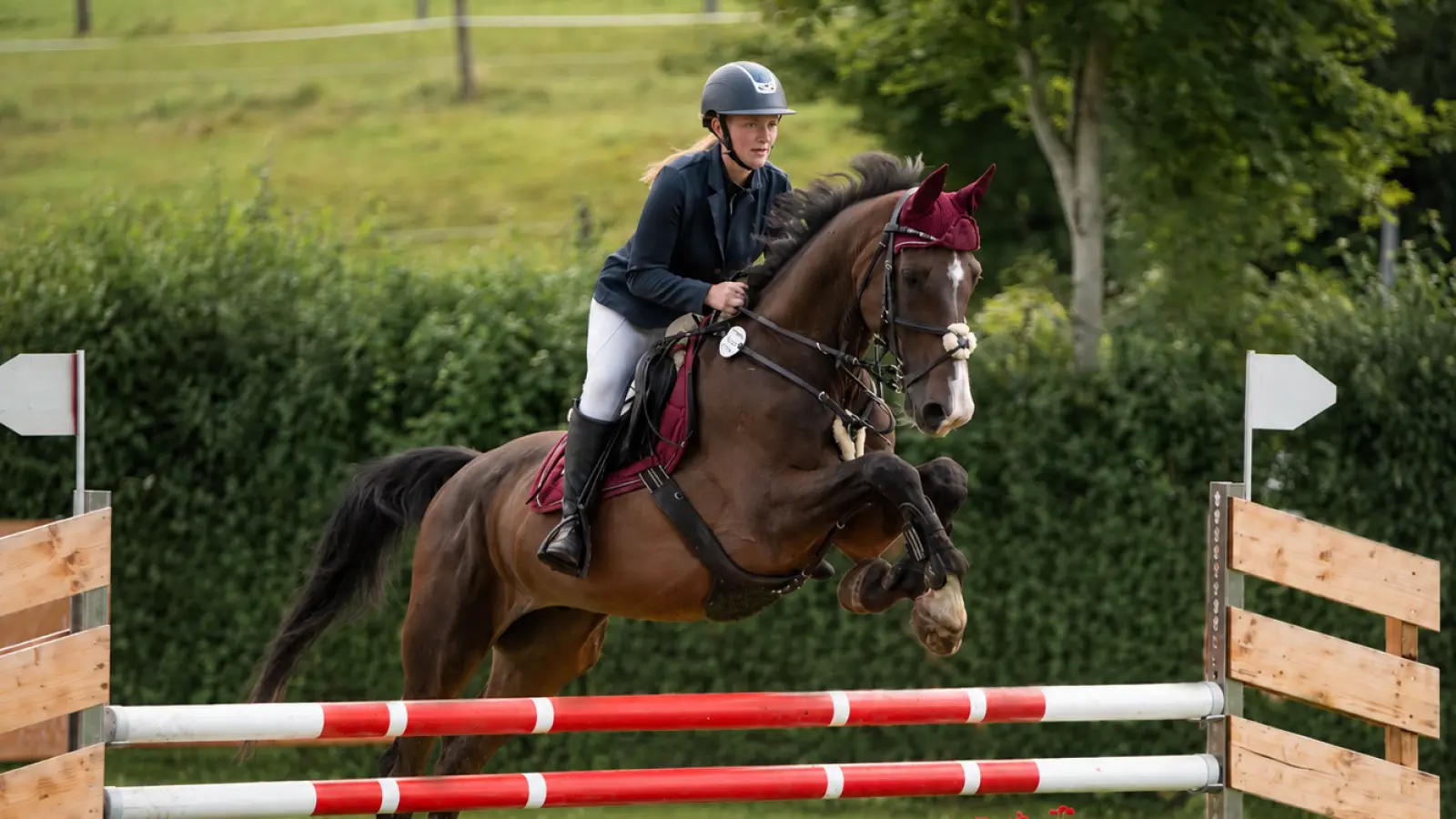 Das Reitturnier des Fahr- und Reitvereins ist mittlerweile über die Stadtgrenzen hinaus bekannt und ein Aushängeschild für Uffenheim. Aber wie viel sollte die Stadt hierfür fördern? Dieses Foto stammt von einem anderen Turnier. (Symbolbild: Christina Müller)