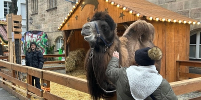 Im vergangenen Jahr war die lebende Krippe durchaus ein Besuchermagnet des Ansbacher Weihnachtsmarktes. Das soll sie auch in diesem Jahr werden, allerdings an einem anderen Ort. (Foto: Florian Pöhlmann)