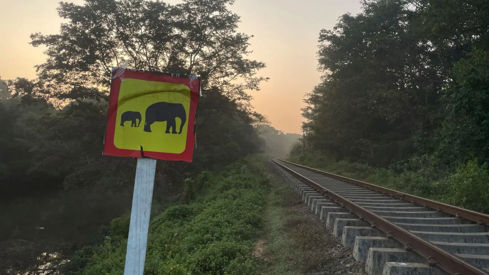 Ein Hinweisschild warnt vor wilden Elefanten. (Foto aktuell) (Foto: Priyan Malinda/AP/dpa)