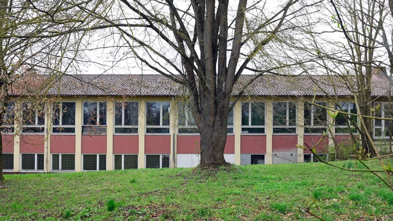 Die über 100 Jahre alte Flatterulme hinter dem Schulhaus genießt Bestandsschutz. Darauf muss sich ein möglicher Investor einlassen. (Archivbild: Jim Albright)