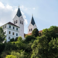 Traditionell wird im Freisinger Dom die Priesterweihe für das Erzbistum München-Freising gefeiert. (Symbolbild) (Foto: Lino Mirgeler/dpa)