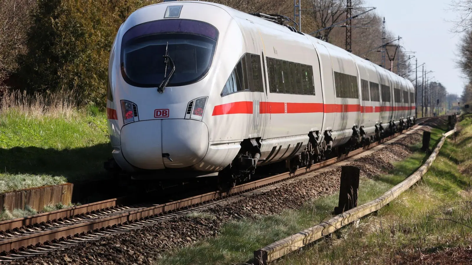 Ein ICE hat am Samstag bei Uffenheim ein Pony erfasst. (Symbolbild: Bernd Wüstneck/dpa)