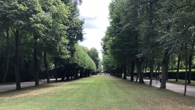 Im Hofgarten in Ansbach kam es am Freitag zu einer Körperverletzung zwischen Betrunkenen. (Foto: Florian Pöhlmann)