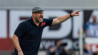 HSV-Trainer Steffen Baumgart will sein Team in der kommenden Saison zurück in die Bundesliga führen. (Foto: David Inderlied/dpa)