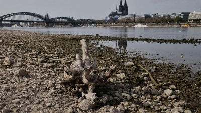 Auch viele deutsche Flüsse hatten sehr niedrige Pegelstände. (Symbolbild)  (Foto: Oliver Berg/dpa)