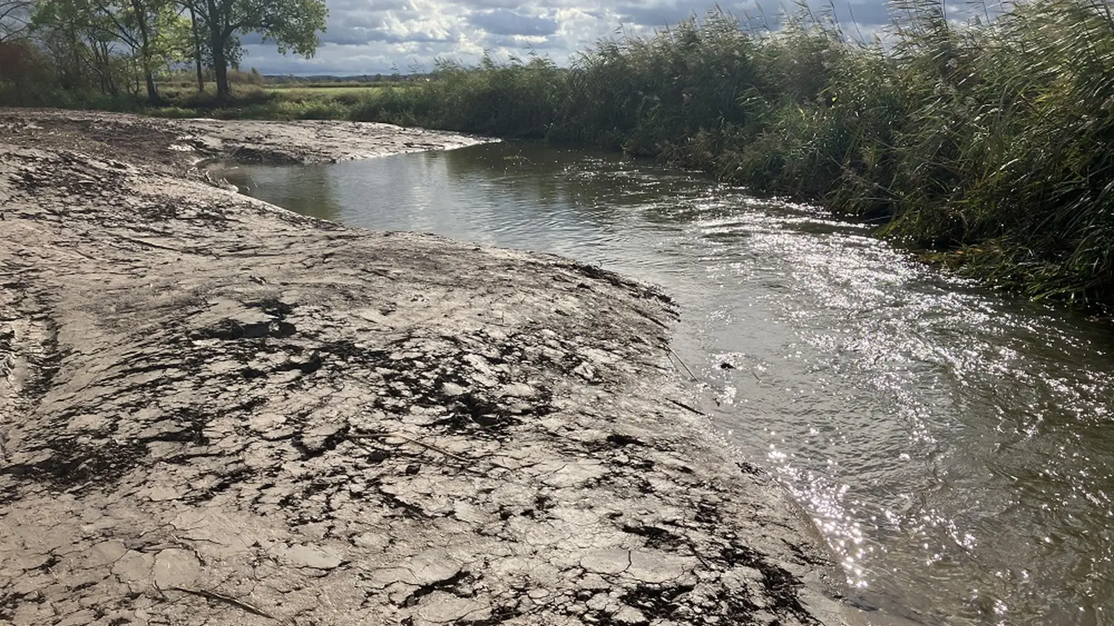 Eine Lehmbuhne im Bett der Altmühl: Diese Methode der Gewässer-Gestaltung soll die Fließgeschwindigkeit an geeigneten Stellen erhöhen und die Eigendynamik des langsamsten Flusses in Bayern anregen. (Foto: WWA Ansbach)