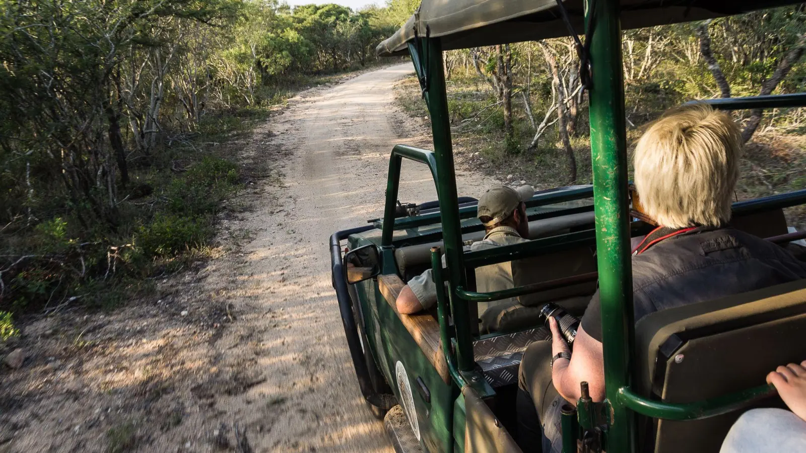 Touristen fahren durch den Krüger-Nationalpark. Der weltberühmte Krüger-Park wird in den nächsten Jahren saniert. (Foto: Philipp Laage/dpa-tmn/dpa)