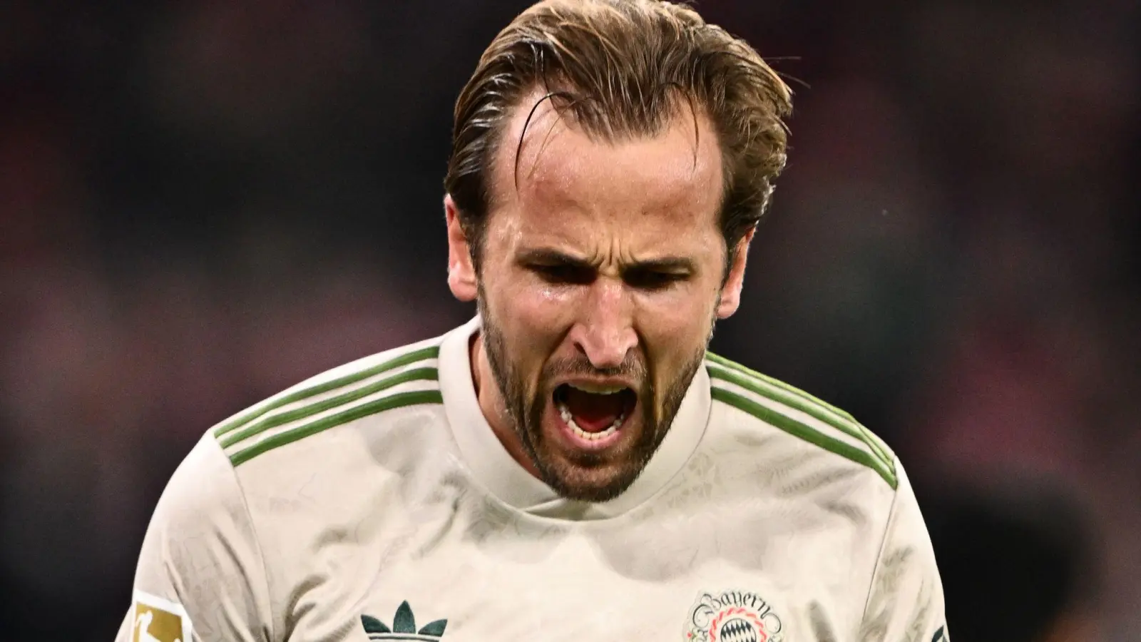 Harry Kane bejubelt sein 99. Pflichtspiel-Tor für den FC Bayern. (Foto: Harry Langer/dpa)