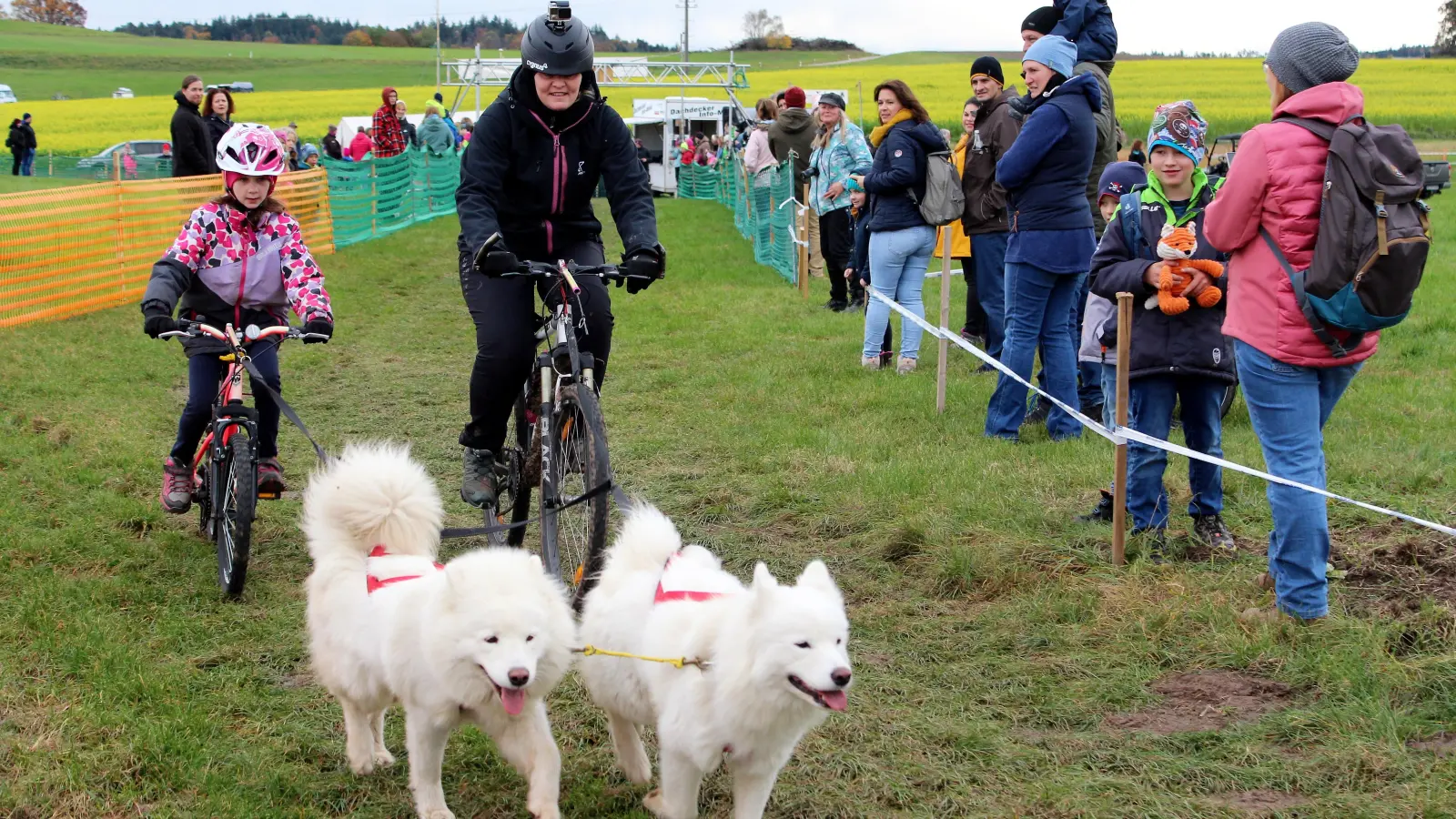 Auch mit dem Fahrrad kann man beim Schlittenhunde-Rennen in Oberndorf auf die Strecke gehen, wie Ninja Habietinek (rechts) und ihre Tochter Valentina mit den Hunden Belli und Ebby unter Beweis stellen. (Foto: Diane Mayer)