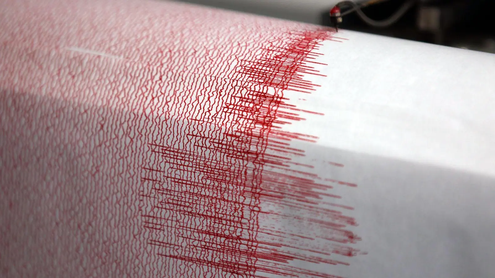 Seismographen zeichnen Erdbeben auf. (Symbolbild) (Foto: Oliver Berg/dpa)