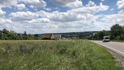 Noch sieht es am Strüther Berg nicht nach einem Baugebiet aus: Doch schon bald will der Investor seine modifizierten Pläne für Weinberg West präsentieren. (Foto: Florian Pöhlmann)