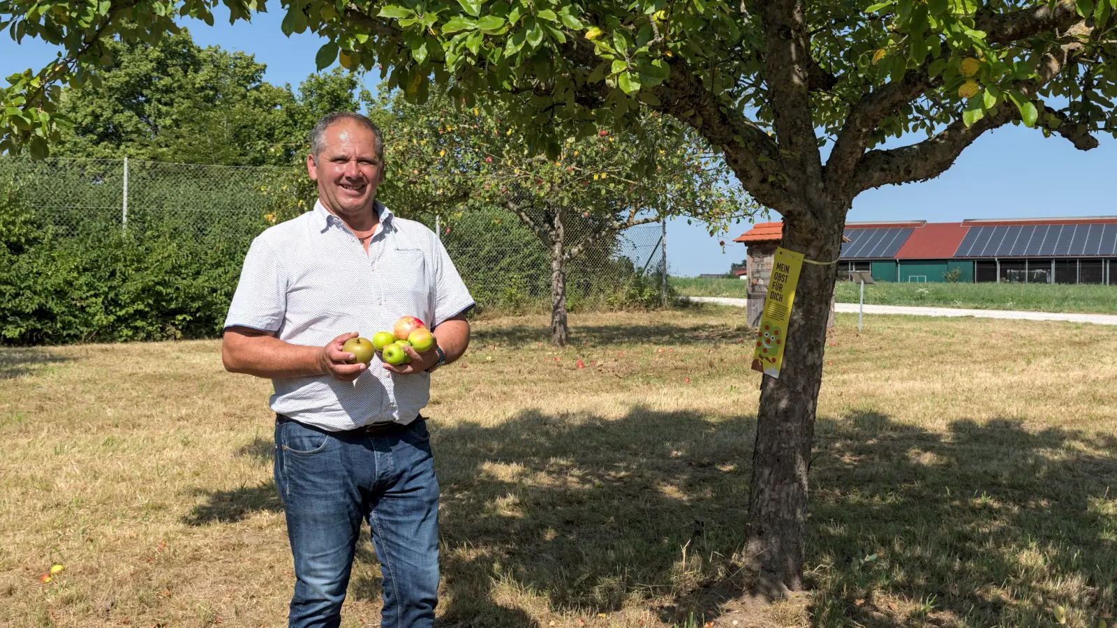 Die städtischen Bäume, deren Früchte gepflückt werden dürfen, sind mit gelben Bändern markiert. Feuchtwangens zweiter Bürgermeister Walter Soldner plant zudem spezielle Ernteaktionen für die Jüngsten sowie die zweite Auflage der Mostprämierung. (Foto: Stadt Feuchtwangen/Rebecca Weber)