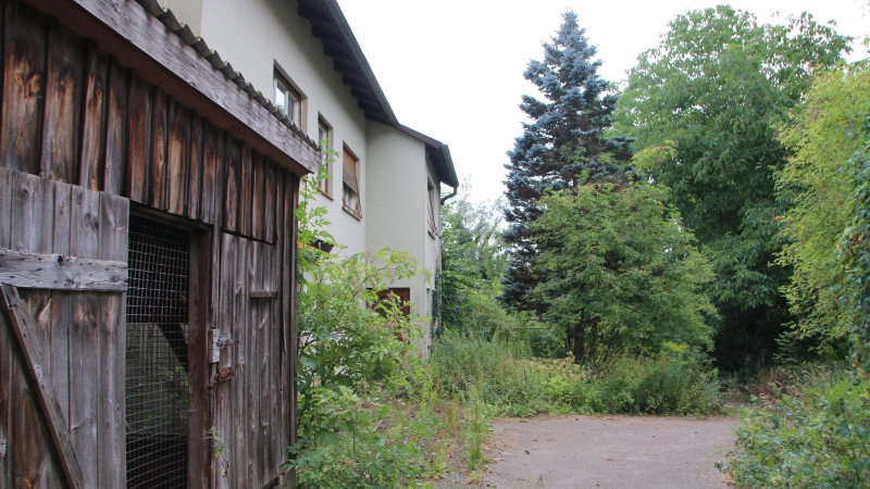 Im Dornröschenschlaf liegt derzeit das Grundstück, das in städtischen Besitz ist. Im Stadtrat wurde eine Machbarkeitsstudie für ein Bauzentrum vorgestellt. (Archivbild: Martina Haas)