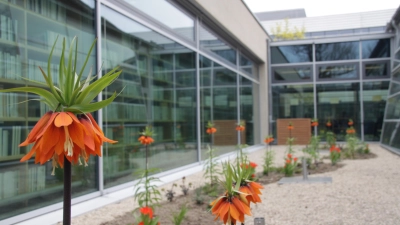 Auch hinter der Bibliothek der HS Ansbach gibt es nun einen Außenbereich. (Foto: Robert Maurer)