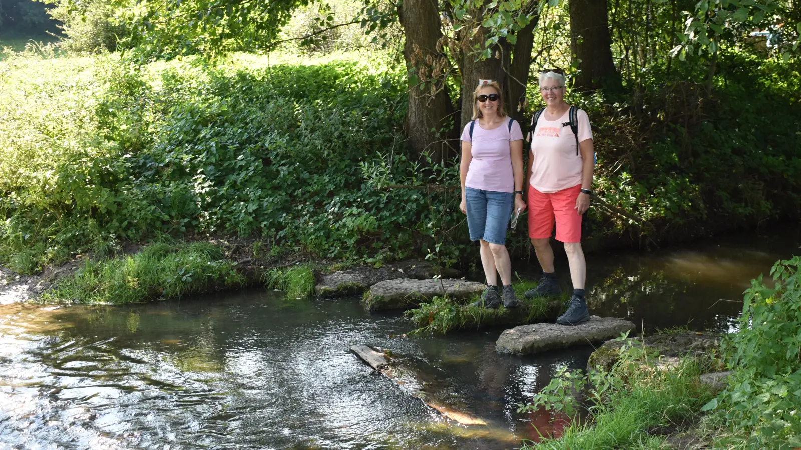 Die Wanderung rund um Emskirchen (Landkreis Neustadt/Aisch-Bad Windsheim) führt streckenweise entlang der erfrischenden Aurach. (Foto: Ute Niephaus)