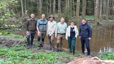 Vor einem der neu geschaffenen Feuchtbiotope (v.l.): Waldbeauftragter Fabian Eschenbacher, Marcel Konnte (Amt für Ernährung, Landwirtschaft und Forsten), Wolgang Wenk (Naturpark Frankenhöhe), Förster Daniel Gros, Naturpark-Geschäftsführerin Johanna Sieger und Schnelldorfs Bürgermeister Tobias Strauß.  (Foto: Selbstauslöser/Tobias Strauß)