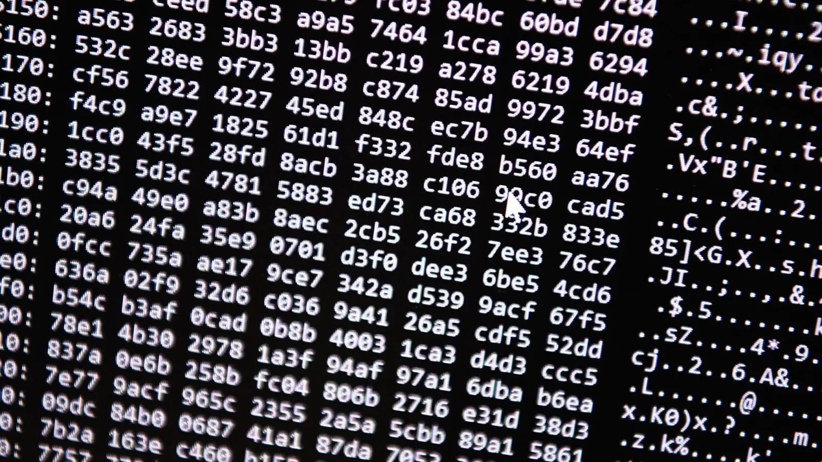 Bayerns Zentralstelle Cybercrime gibt es seit 2015. Die Spezialisten haben aktuell viel zu tun. (Symbolbild) (Foto: Nicolas Armer/dpa)