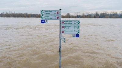 Der Radweg mit Beschilderung am Rheinufer im Ortsteil Mittelheim (Oestrich-Winkel) steht komplett unter Wasser. (Foto: Andreas Arnold/dpa)