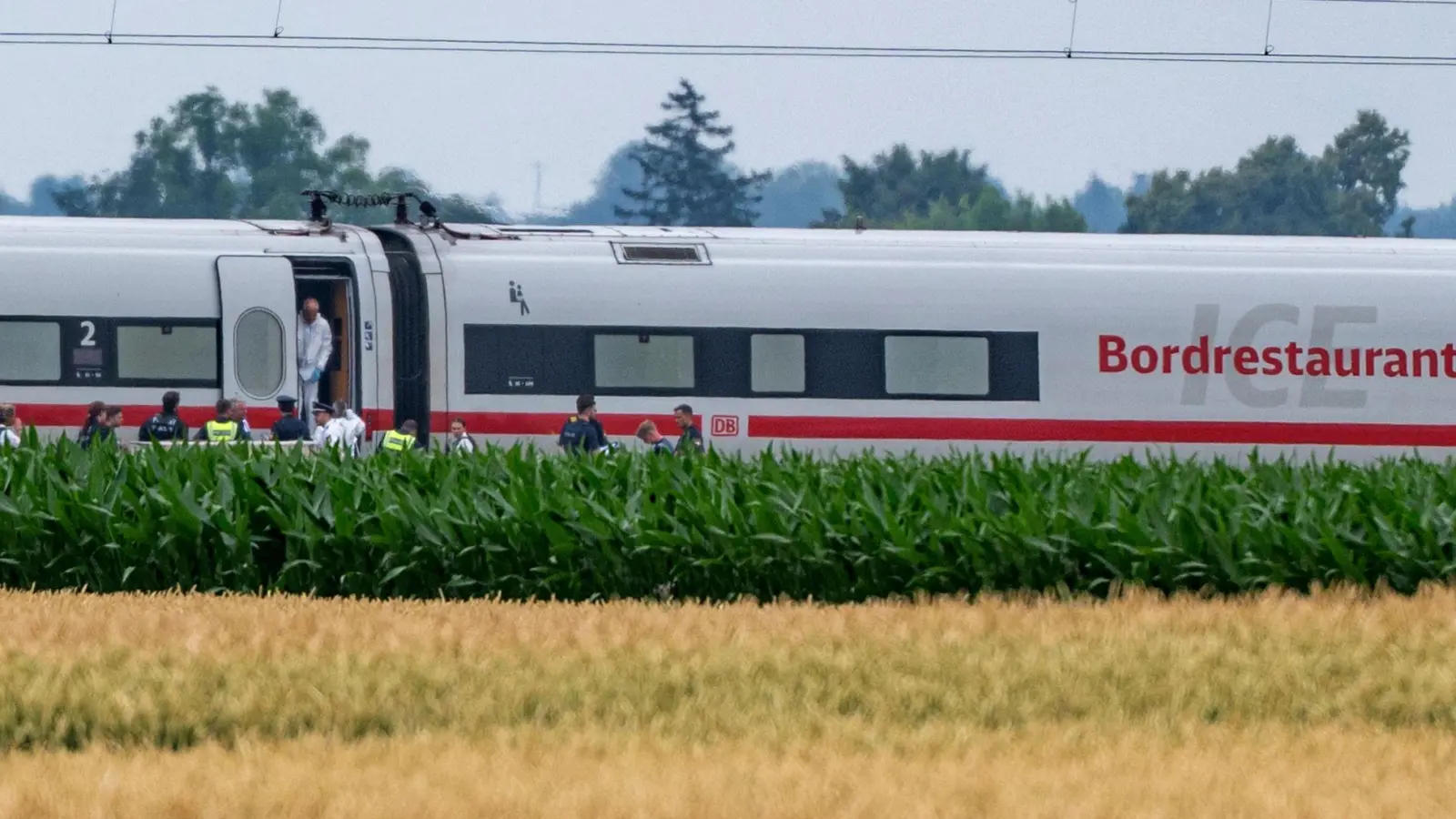 Ein Jahr nach dem Axtangriff in einem ICE in Niederbayern ist das Urteil gegen den Beschuldigten gesprochen worden. (Archivbild) (Foto: Armin Weigel/dpa)