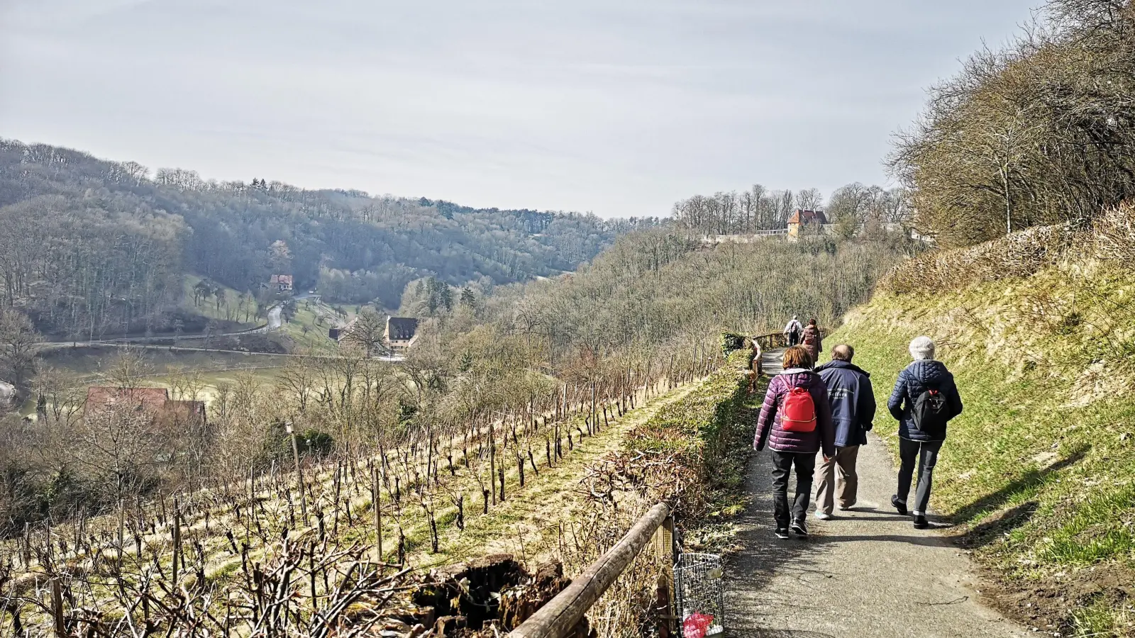 Der TSV 2000 achtet bei der Streckenauswahl auf überraschende Perspektiven. So auch hier im Jahr 2025. (Archivbild: Jürgen Binder)