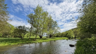 Der sanfte Lauf der Tauber, hier zwischen Bettwar und Tauberscheckenbach im Landkreis Ansbach, lockt viele Menschen für Ausflüge zu Fuß und mit dem Rad an.  (Foto: Manfred Blendinger)