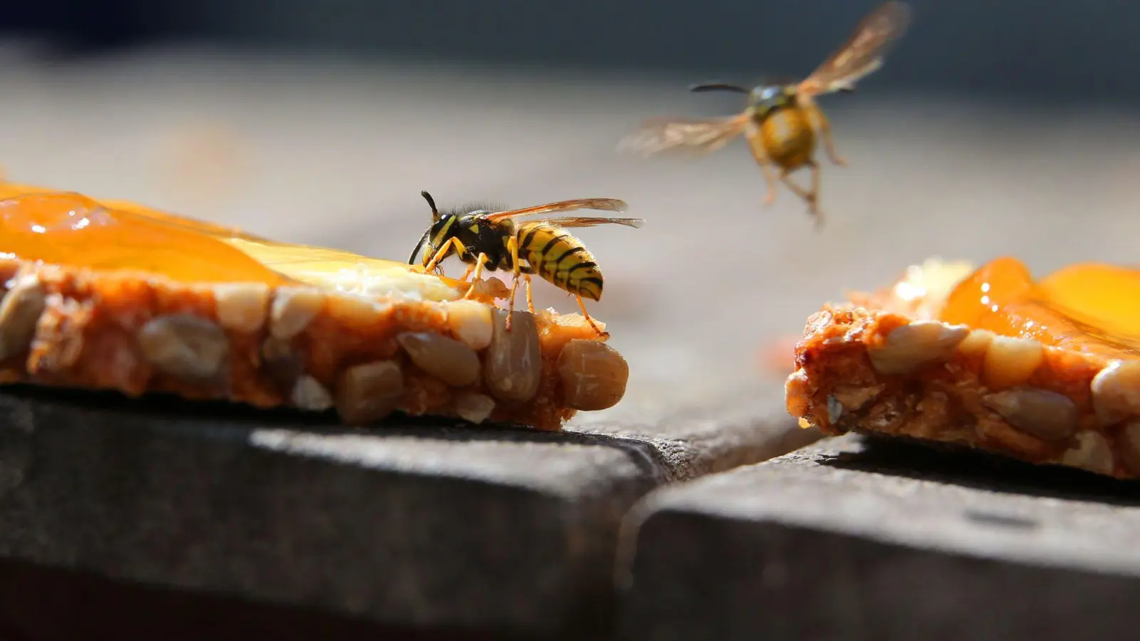 Süßes lockt Wespen oder Bienen an. Jetzt heißt es: Ruhig bleiben und die Tiere nicht verärgern. (Foto: Karl-Josef Hildenbrand/dpa/dpa-tmn)