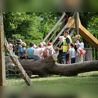 Christine Gessler, Frank Waltert und Carmen Frisch teilen die Kinder in Gruppen ein. (Foto: Wildtierhilfe/Sabine Götz)