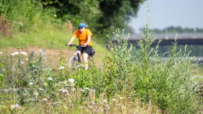 Mit einer neuen Radfahr-App soll der Fahrspaß für Radler in Bayern steigen. Vorgestellt hat die App das Bayerische Verkehrsministerium. (Symbolbild) (Foto: Pia Bayer/dpa)