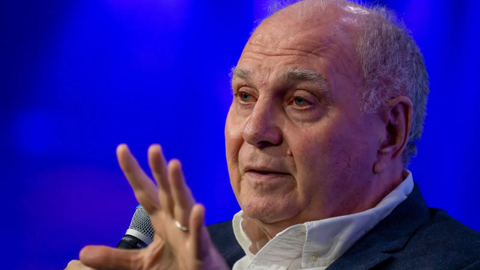 Nachbar verklagt Uli Hoeneß wegen zweier Bäumchen. (Archovfoto)  (Foto: Peter Kneffel/dpa)