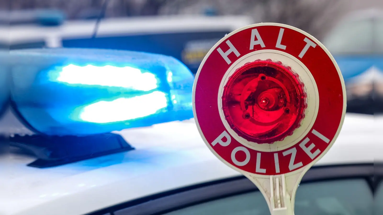 Die Polizei entdeckt die vier Welpen bei einer Kontrolle auf der A3. (Symbolbild) (Foto: Jan Woitas/dpa)