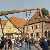 Hier schien noch alles normal, doch kaum stand der Scheinfelder Kerwabaum auf dem Marktplatz, brach die Spitze ab und stürzte zu Boden.  (Foto: Sandra Buchwald)