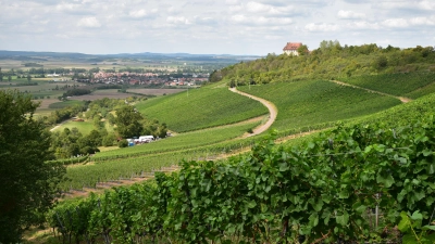 Die Weinlage rund um die Burg Hoheneck ist auch über die Region hinaus bekannt. Nun finden am Fuß des Berges in Ipsheim wieder die Tage der offenen Weingüter statt. (Foto: Manfred Blendinger)