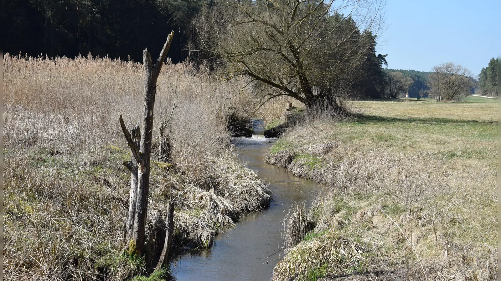 Breitere Ufer, keine Hindernisse: Am Erlbach sollen die Windsbacher Verantwortlichen Renaturierungs-Maßnahmen umsetzen. Dies kostet nach derzeitigem Stand über 75.000 Euro. (Foto: Florian Schwab)