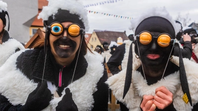 Eindrücke von den Teilnehmern am Umzug. (Foto: Evi Lemberger)