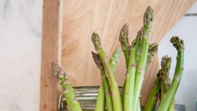 Grüner Spargel schmeckt gegenüber weißem Spargel etwas kerniger, fasst nussig und hat mehr Biss. Geschmacklich verträgt er auch kräftigere Zutaten und Aromen. (Foto: Zacharie Scheurer/dpa-tmn/dpa)