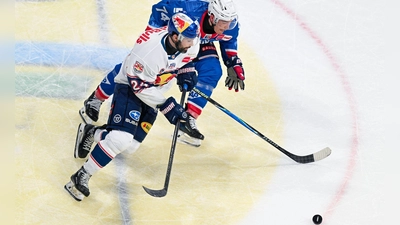 Im vierten Halbfinal gelang München gegen Mannheim der erste Sieg (Archivbild). (Foto: Uwe Anspach/dpa)
