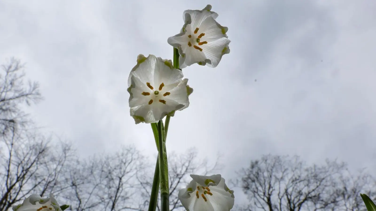 Das Wetter in Deutschland zeigt sich in den kommenden Tagen von seiner ungemütlichen Seite. (Symbolbild) (Foto: Thomas Warnack/dpa)