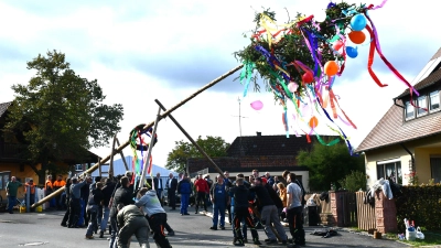 Am Samstag wird der Kerwabaum in die Senkrechte gebracht.  (Foto: Gudrun Schwarz-Köhler)