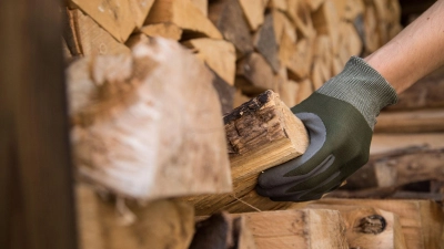 Zehn Bäume schnitten Unbekannte um und nahmen das Holz mit. (Symbolbild: Christin Klose/dpa-tmn)