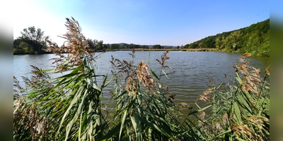 Der Scheerweiher zwischen Schalkhausen und Dornberg ist das einzige Naturschutzgebiet im Ansbacher Stadtgebiet. (Foto: Jim Albright)