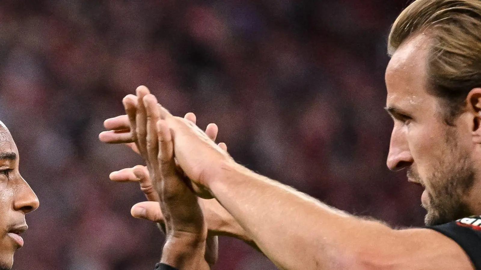Zwei Bayern für große Auszeichnungen: Michael Olise (l) und Harry Kane.  (Foto: Harry Langer/dpa)