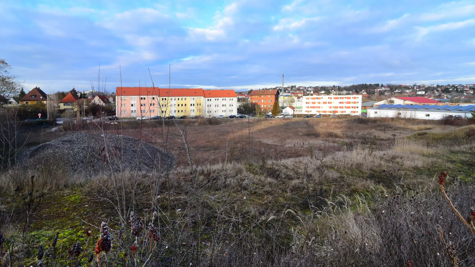 Auf dem Gelände waren 2013 die Gebäude der einstigen Bezirksmolkerei abgerissen worden. Seitdem hatte sich die Vegetation ausgebreitet. Vor dem anstehenden Neubau wurde nun gerodet. (Foto: Jim Albright)