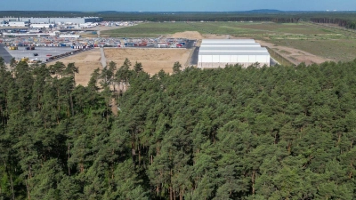 Dichter Wald steht am östlichen Teil des Werksgeländes der Tesla Gigafactory. (Foto: Soeren Stache/dpa)