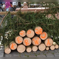 So zerlegt fanden die Neustädter Ficht'n Lupfer ihre eigentlich für den Marktplatz vorgesehene Fichte im Stadtwald vor. Unbekannte hatten sie zersägt und mit roter Farbe „Kirchweih 2026” aufgesprüht. (Foto: Ute Niephaus )