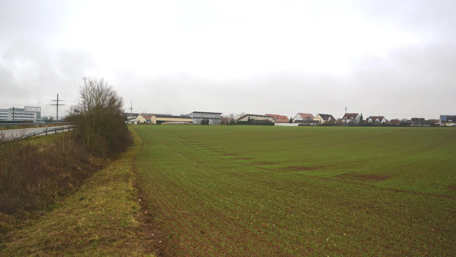 Auf einem Feld am nordöstlichen Stadtrand von Wassertrüdingen will ein Bauwerber eine Agri-Photovoltaik-Anlage bauen. Die Planer des ISEK sehen die Fläche demgegenüber als Chance für eine Weiterentwicklung der Stadt.  (Foto: Peter Tippl)