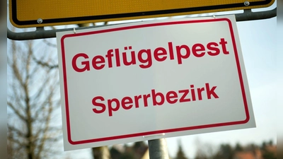 An einem Ortseingangsschild hängt ein Schild mit der Aufschrift „Geflügelpest Sperrbezirk“. (Foto: Arno Burgi/dpa-Zentralbild/dpa/Symbolbild)