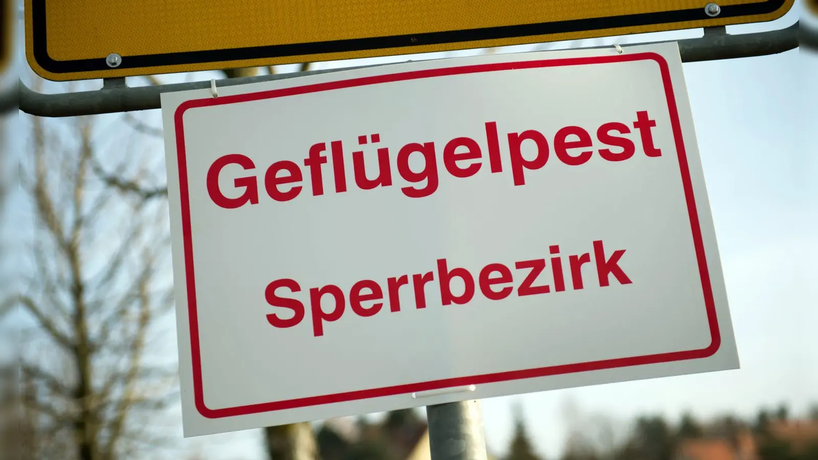 An einem Ortseingangsschild hängt ein Schild mit der Aufschrift „Geflügelpest Sperrbezirk“. (Foto: Arno Burgi/dpa-Zentralbild/dpa/Symbolbild)