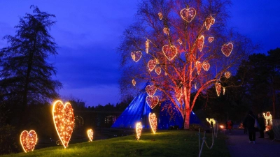 Viele bunte Lichter zu Weihnachten: Besucher sind im „Christmas Garden“ im Loki-Schmidt-Garten in Hamburg unterwegs.  (Foto: Christian Charisius/dpa)